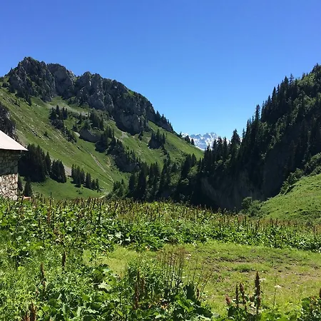 Les Balcons Du Leman Thollon-les-Memises