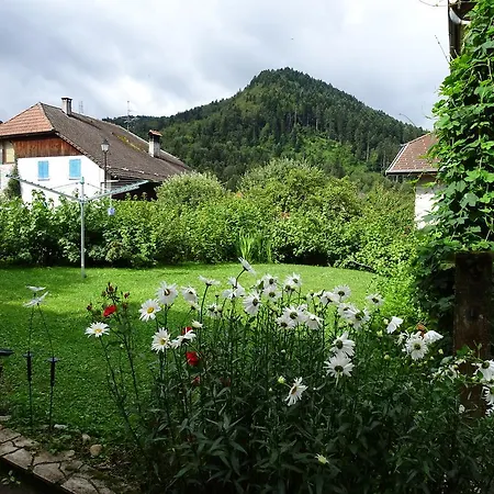 Les Balcons Du Leman