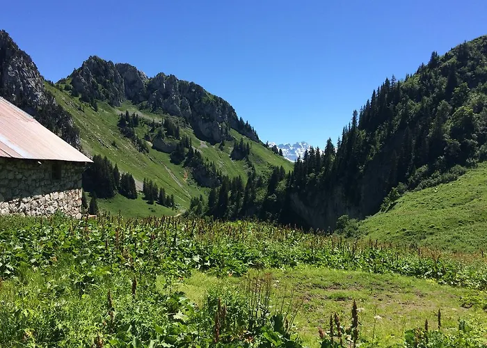 Les Balcons Du Leman Thollon-les-Memises