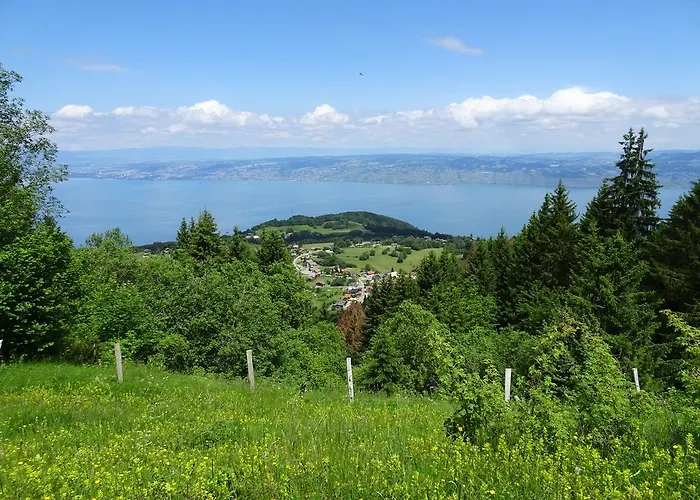 فندق مبيت وإفطار Les Balcons Du Leman