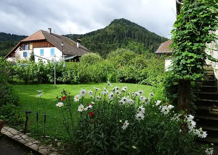 Les Balcons Du Leman